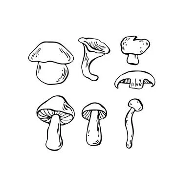 Hand drawn vector mushrooms set. Outline black vector forest elements Stock Illustration