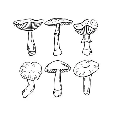 Hand drawn vector mushrooms set. Outline black vector forest elements Stock Illustration
