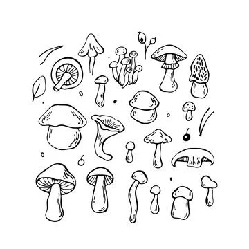 Hand drawn vector mushrooms set. Outline black vector forest elements Stock Illustration