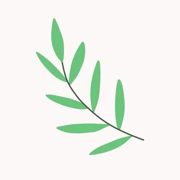 Hand drawn vector olive branch. White background. Isolated. Stock Illustration