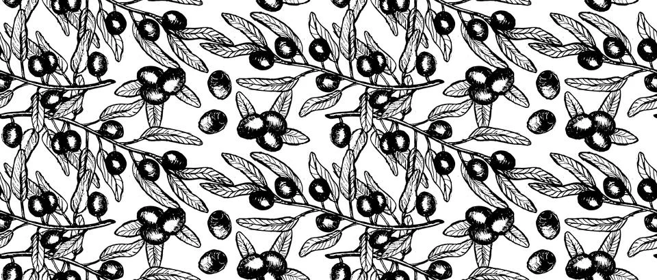 Hand drawn vector olive branches and leaves pattern or background, sketch Stock Illustration