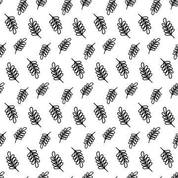 Hand drawn vector outline tropical acacia leaves seamless pattern isolated on Stock Illustration