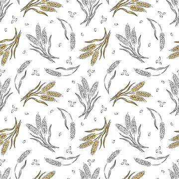 Hand drawn vector pattern featuring wheat stalks and seeds on a white background 스톡 일러스트
