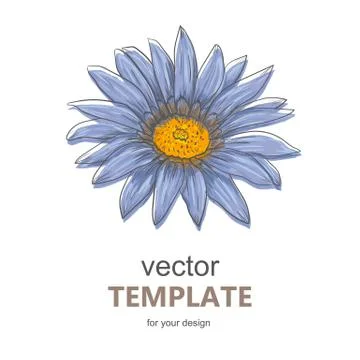 Hand drawn vector pen and ink illustration of Gerbera Daisy flower Stock Illustration