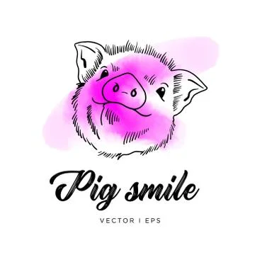 Hand drawn vector pig cute face. Piglet outline simple drawing, pink watercol Stock Illustration