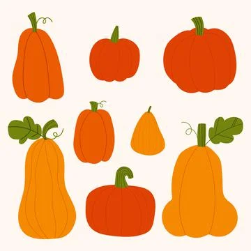 Hand drawn vector pumpkins collection. Illustrazione stock