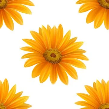 Hand drawn vector realistic seamless pattern of Gerbera Daisy flower Stock Illustration