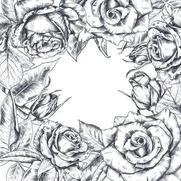 Hand drawn vector rose flowers square frame. Stock Illustration