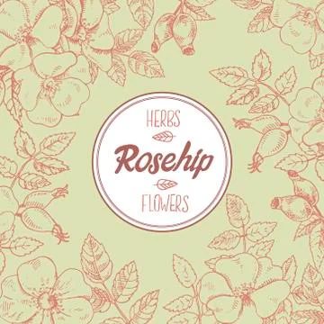 Hand drawn vector rosehip and label lettering with space for text Stock Illustration