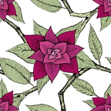 Hand drawn vector seamless pattern with blooming. Floral illustration Stock Illustration