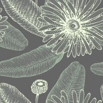 Hand drawn vector seamless pattern with flowers. Floral illustration Stock Illustration