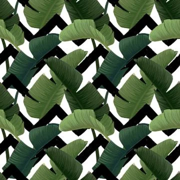 Hand drawn vector seamless pattern with green banana palm leaves on the zig zag Stock Illustration