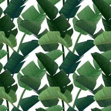 Hand drawn vector seamless pattern with green banana palm leaves on the zig zag Stock Illustration