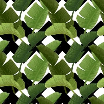 Hand drawn vector seamless pattern with green banana palm leaves on the zig zag Stock Illustration