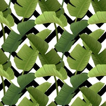 Hand drawn vector seamless pattern with green banana palm leaves on the zig zag 스톡 일러스트