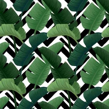 Hand drawn vector seamless pattern with green banana palm leaves on the zig zag Stock Illustration