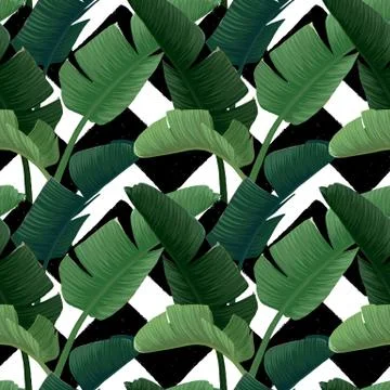 Hand drawn vector seamless pattern with green banana palm leaves on the zig zag Stock Illustration