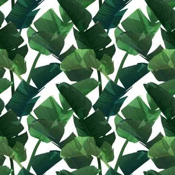 Hand drawn vector seamless pattern with green banana palm leaves on the zig zag 스톡 일러스트