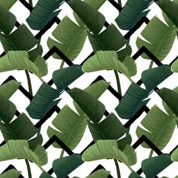 Hand drawn vector seamless pattern with green banana palm leaves on the zig zag Stock Illustration
