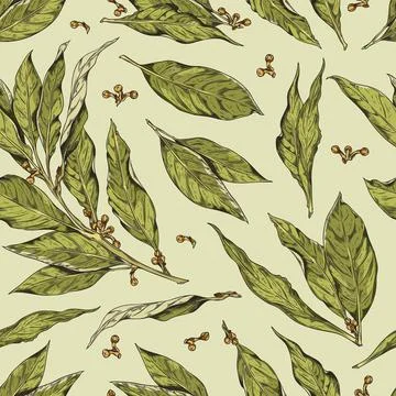 Hand drawn vector seamless pattern with branch of bay leaf with corns, pepper Stock Illustration