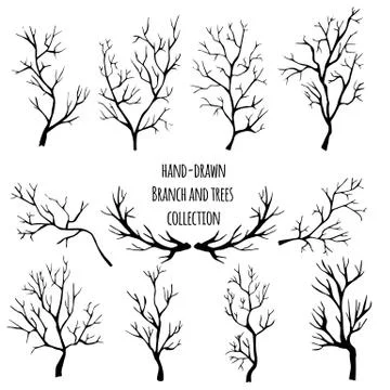 Hand drawn vector set of black silhouette tree and branches. Stock Illustration