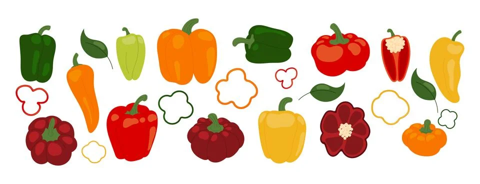 Hand drawn vector set of colorful sweet bell peppers isolated on white back.. Stock Illustration