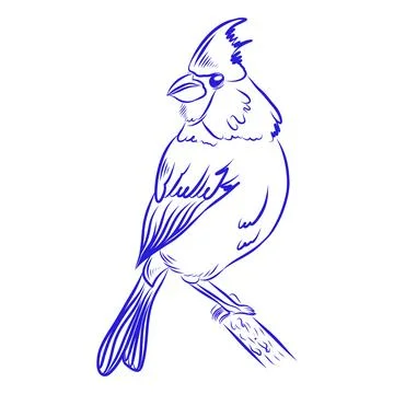 Hand-drawn vector sketch of a bird, blue line art Stockillustratie