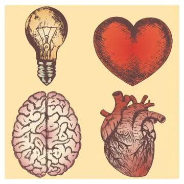 Hand drawn vector sketch illustration set - brain, love and naturalistic heart Stock Illustration