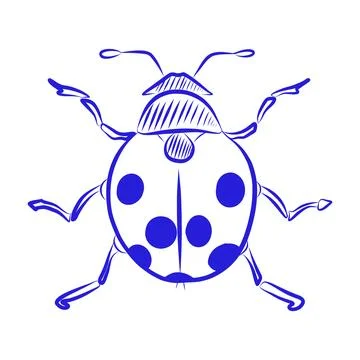 Hand-drawn vector sketch of a ladybug. Blue line art Illustration