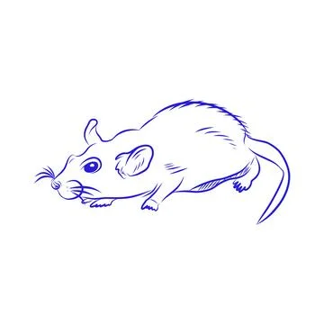 Hand drawn vector sketch of a mouse, rodent, blue line Stock-Illustration
