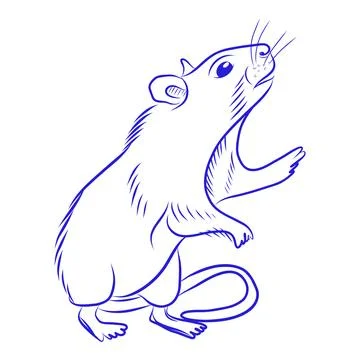 Hand drawn vector sketch of a rat standing on its hind legs, blue line art Иллюстрация