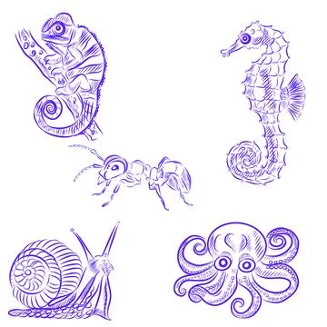 Hand drawn vector sketch set of different animals, blue line art Illustration