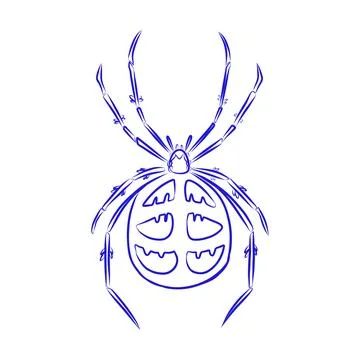 Hand drawn vector sketch of a spider with blue lines Illustration