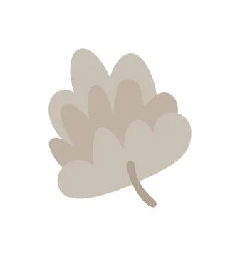 Hand drawn vector spruce cones, pine winter cones. Elements of nature and 스톡 일러스트