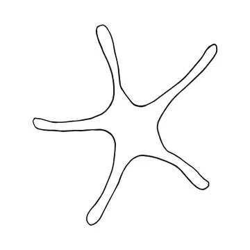 Hand-drawn vector starfish silhouette Stock Illustration