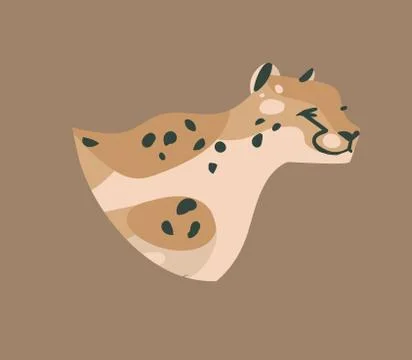Hand drawn vector stock abstract graphic illustration with African wild cheetah Stock Illustration