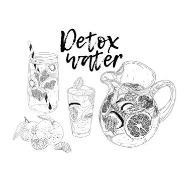 Hand drawn vector summer ice drink with cittrus. Lemon and mint. Detox water Stock Illustration