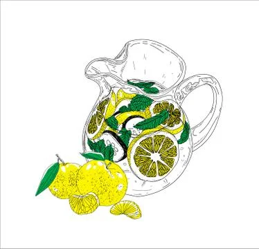 Hand drawn vector summer ice drink with cittrus. Lemon and mint. Detox water Stock Illustration