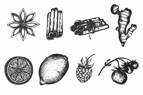 Hand drawn vector tea set Illustration. Detailed retro style clipart , ging.. Stock Illustration