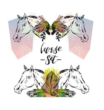 Hand drawn vector textured lined ink graphic horses head illustration set Stockillustratie
