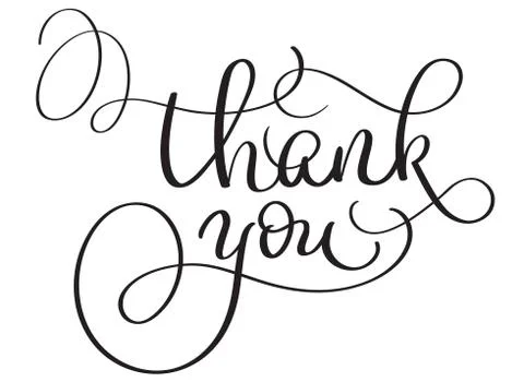 Hand drawn Vector Thank you text on white background. Calligraphy lettering Stock Illustration