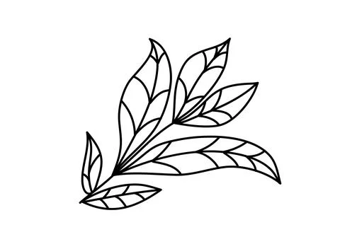 Hand drawn vector tree branch monoline. Black leaf herb silhouette isolated on 스톡 일러스트