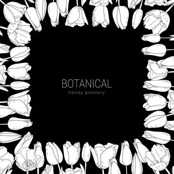 Hand-drawn vector Tulip bud square frame, Easter border of tulips with leaves Stock Illustration