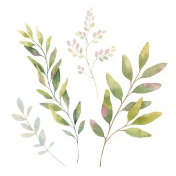 Hand drawn vector watercolor set green branches. Illustrazione stock