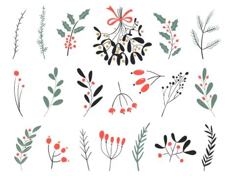Hand drawn vector winter elements. Christmas floral. Christmas branches. Perfect Stock Illustration