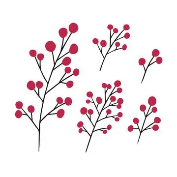 Hand drawn vector winter floral elements. Winter branches and leaves. Hand dr Illustrazione stock