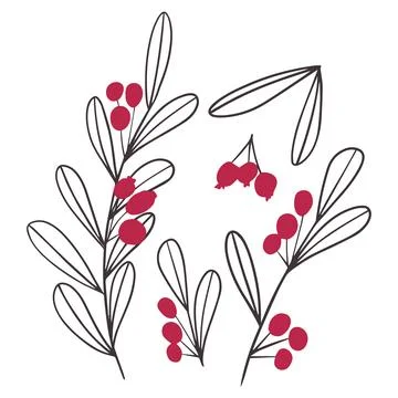 Hand drawn vector winter floral elements. Winter branches and leaves. Hand dr Illustrazione stock