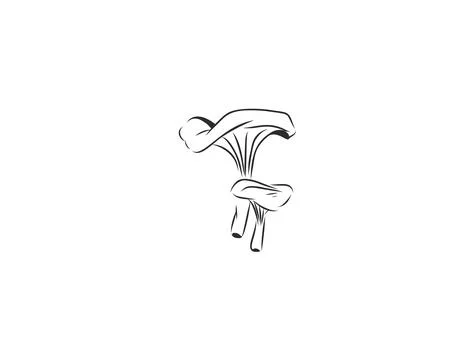 Hand Drawn Vegetable Line Art Vector Collection, Botanical Outline Stock Illustration