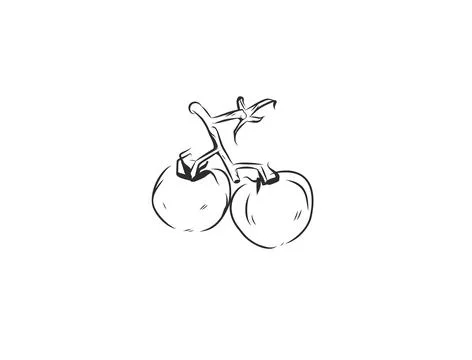 Hand Drawn Vegetable Line Art Vector Collection, Botanical Outline Illustrazione stock