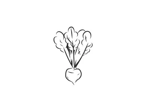 Hand Drawn Vegetable Line Art Vector Collection, Botanical Outline Illustrazione stock